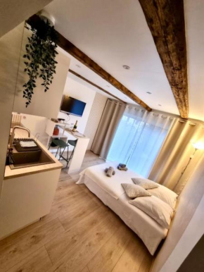 Suite cosy indépendante Evasion env Colmar